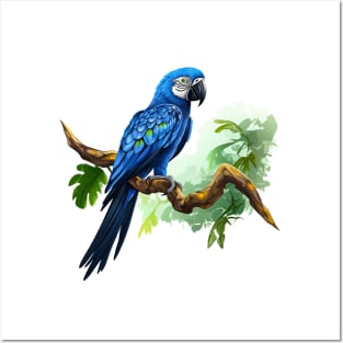 Hyacinth Macaw Posters and Art